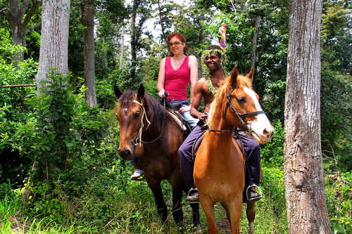 Vanuatu Horseback Rides
