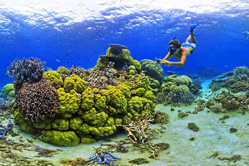 Vanuatu Underwater Photography